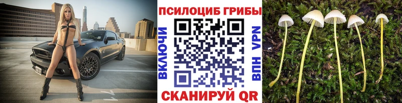 сколько стоит  Краснокамск  Псилоцибиновые грибы мухоморы 